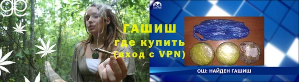 индика Белокуриха
