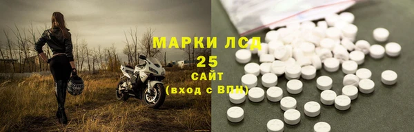 индика Белокуриха