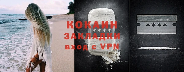 индика Белокуриха