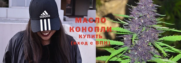 индика Белокуриха